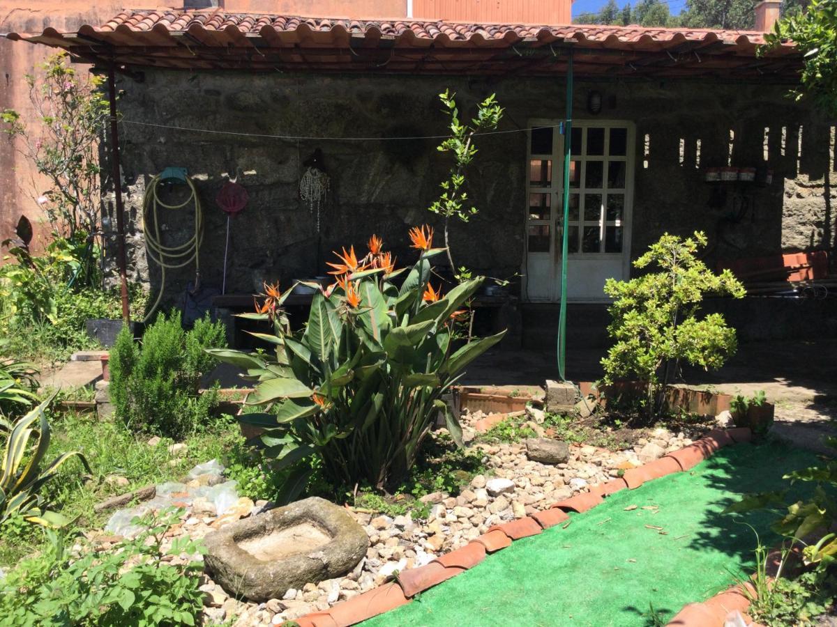 דירות Meis Habitacion En A Armenteira Ideal Peregrinos מראה חיצוני תמונה